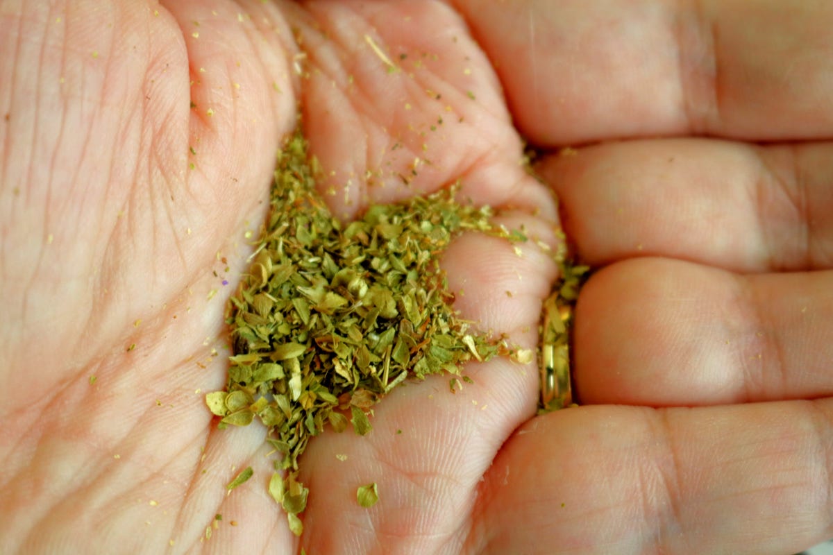 herbs.jpg