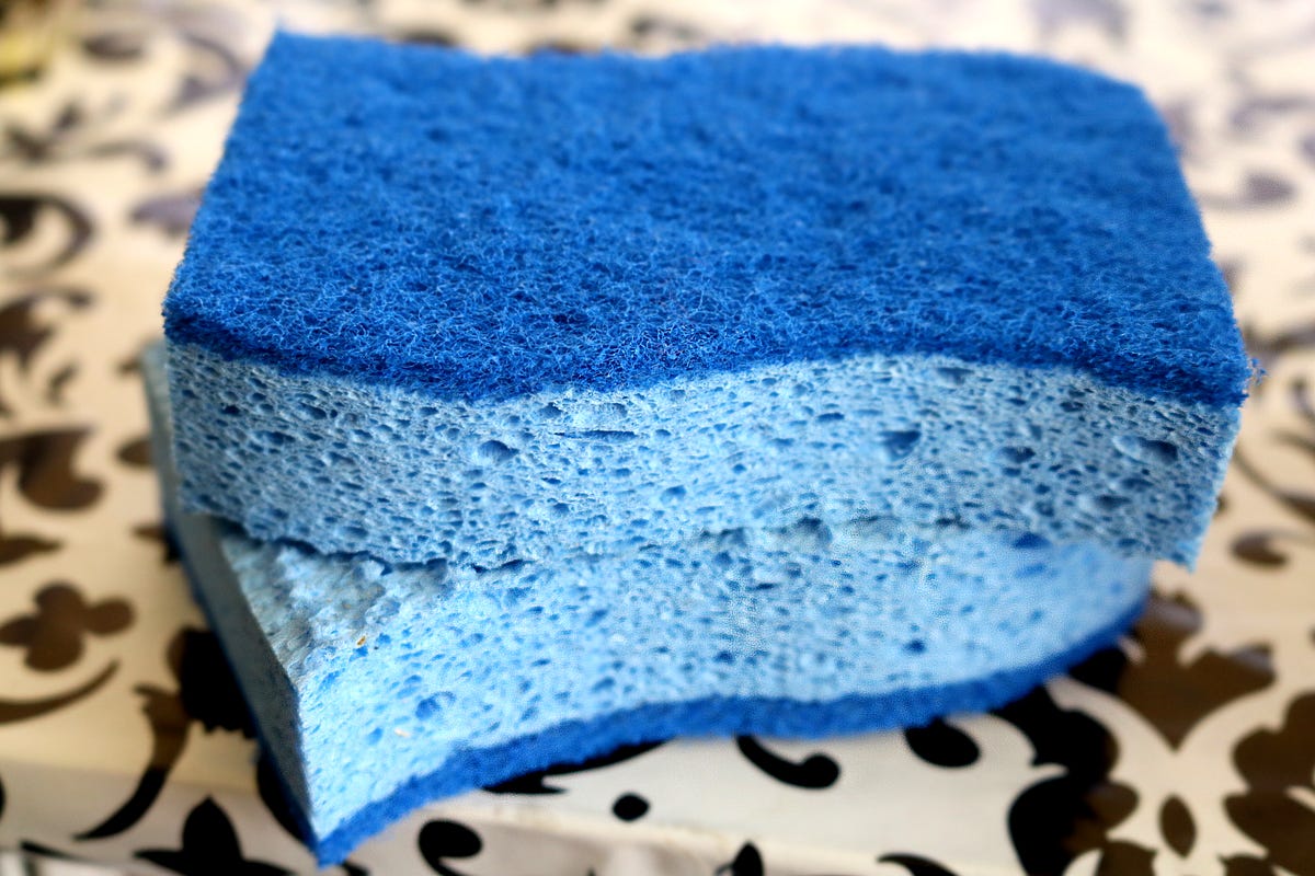 sponge.jpg